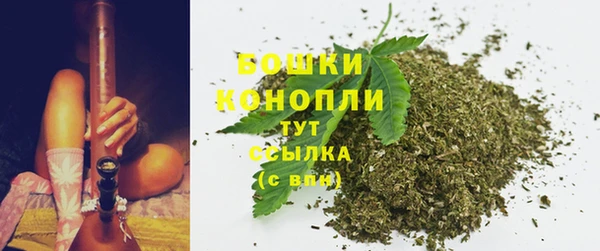 spice Богородицк